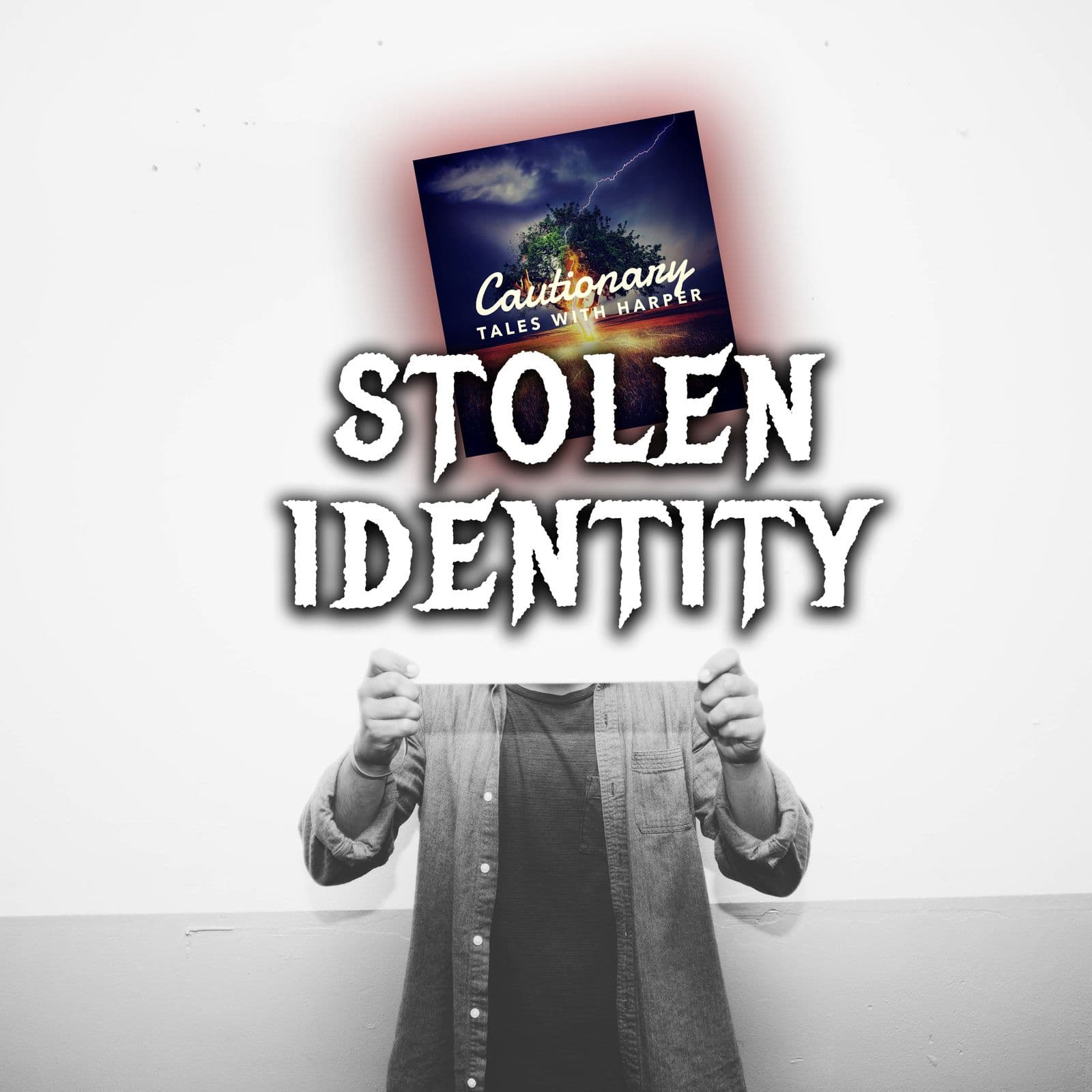14: Stolen Identity | True Stories of Fake Identity - Cautionary Tales With Harper cover