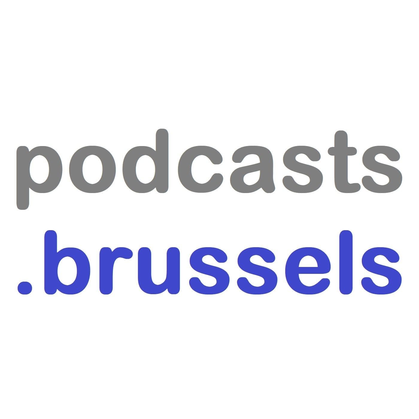 Brussels in English cover