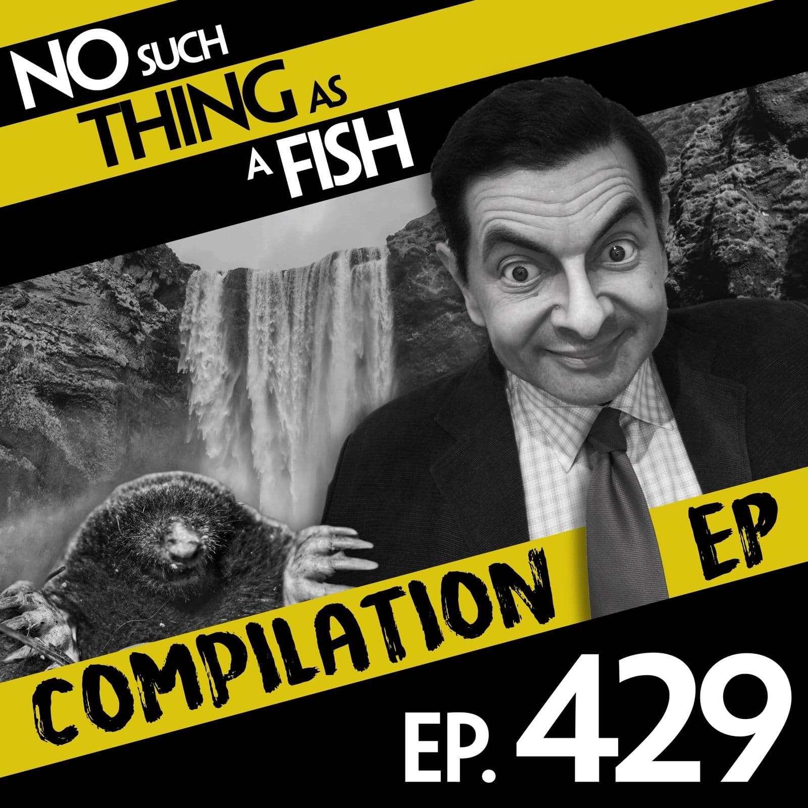No Such Thing As Newsbite - No Such Thing As A Fish cover