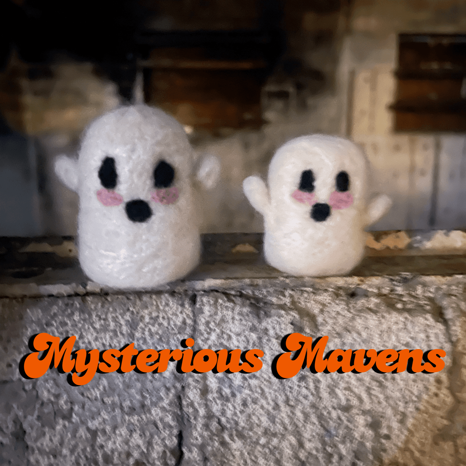 Mysterious Mavens cover