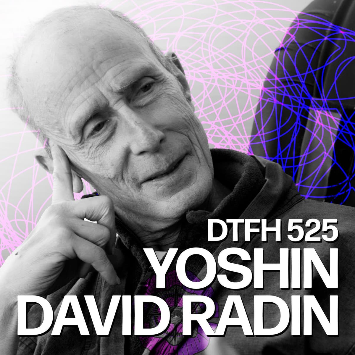 529: Yoshin David Radin - Duncan Trussell Family Hour cover