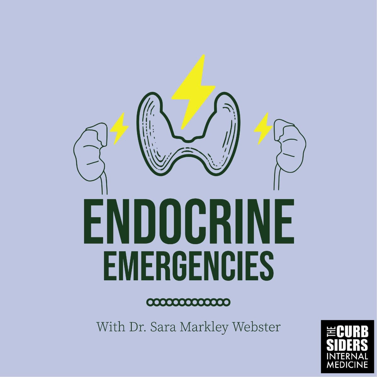 REBOOT: #372 Endocrine Emergencies featuring Dr. Sara Markley Webster - The Curbsiders Internal Medicine Podcast cover