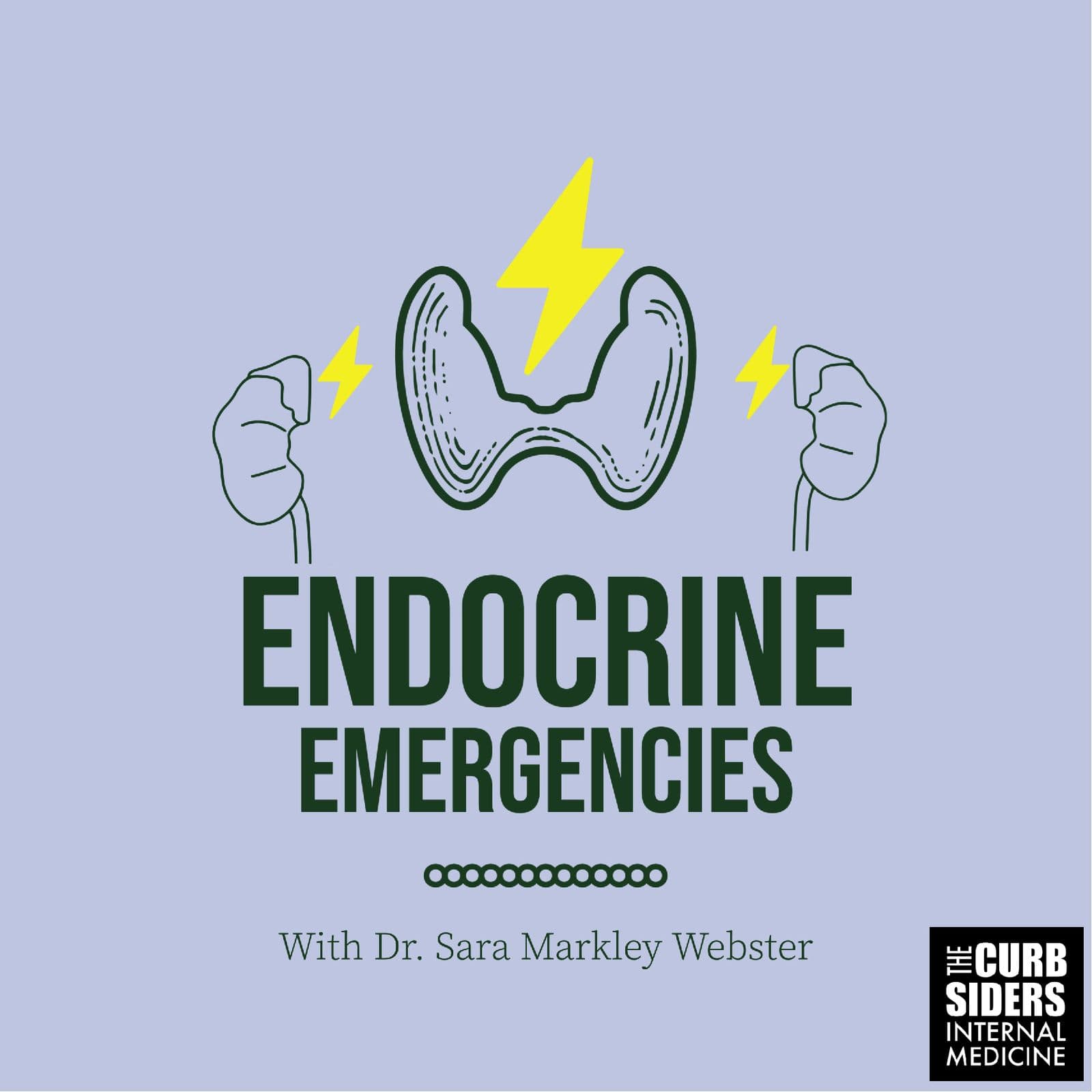 #372 Endocrine Emergencies featuring Dr. Sara Markley Webster - The Curbsiders Internal Medicine Podcast cover