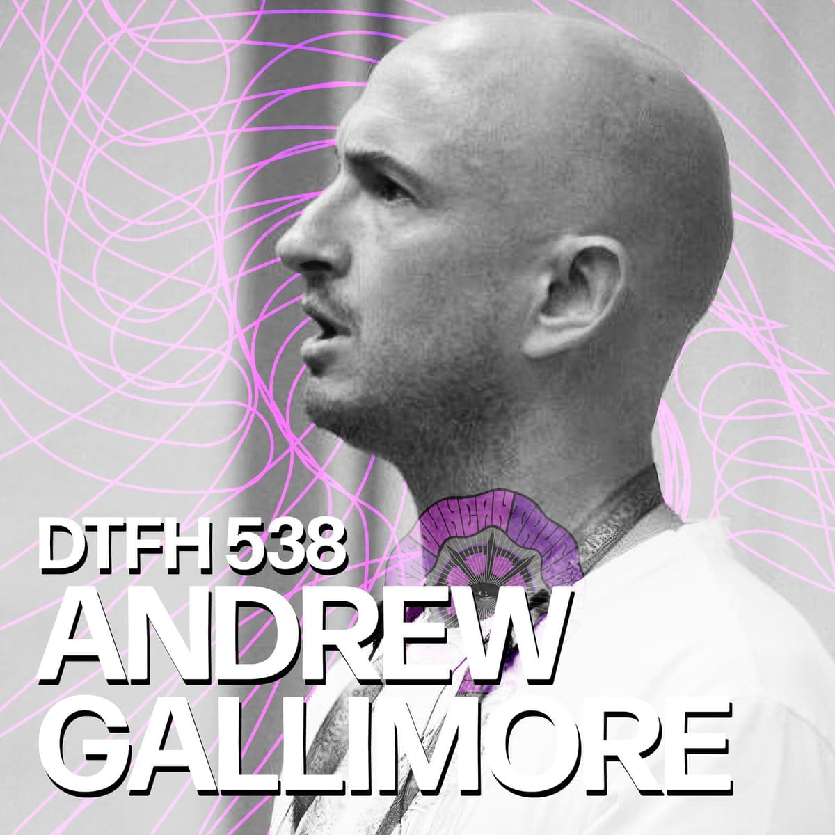 542: Andrew Gallimore - Duncan Trussell Family Hour cover