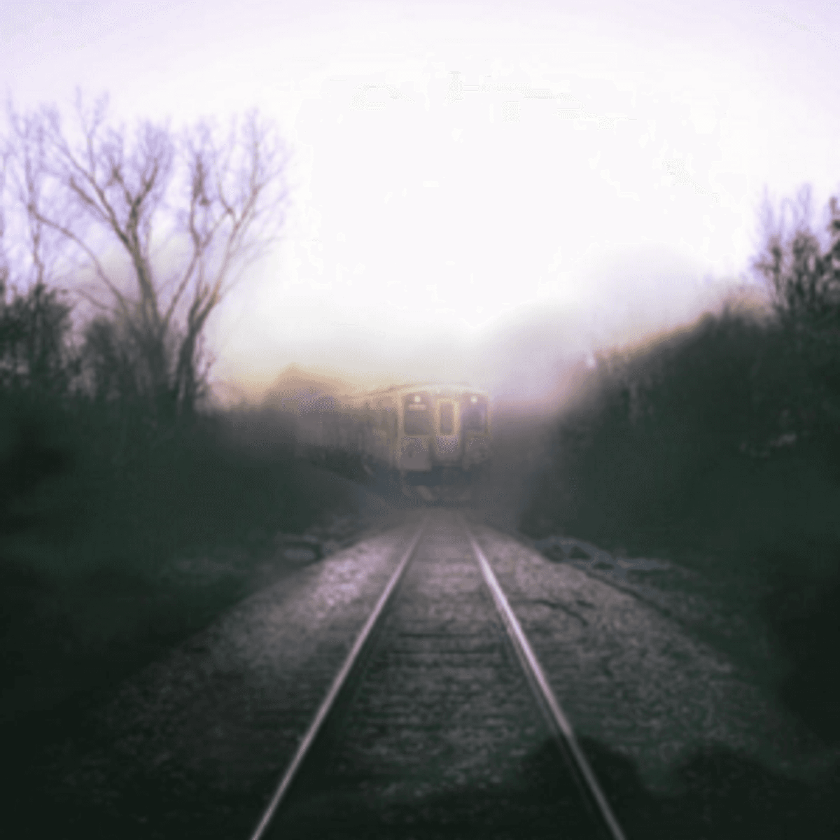 Loco Motives - Expanded Perspectives cover