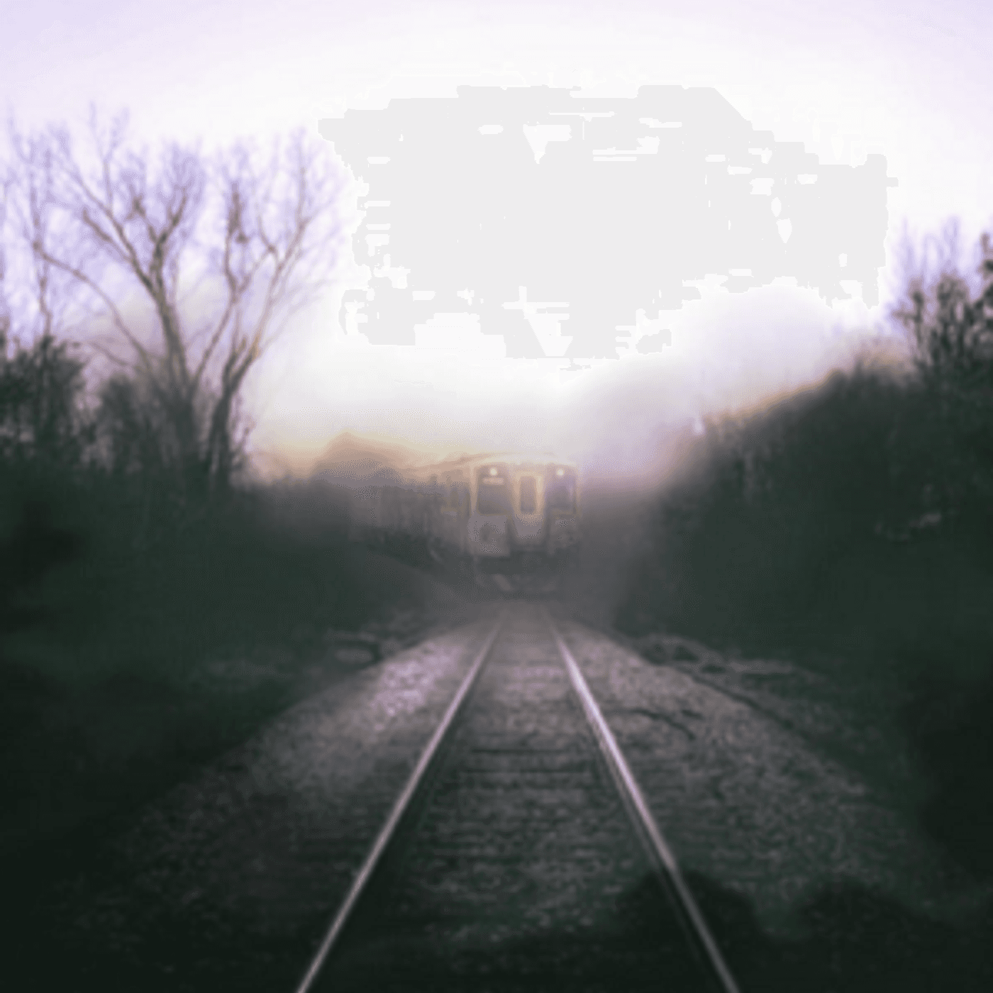 Loco Motives - Expanded Perspectives cover