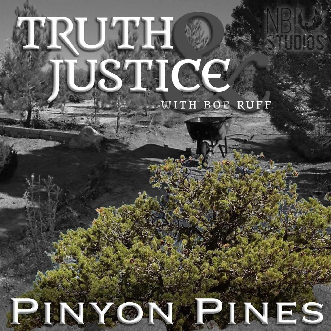 S12 Ep28: Relationships - Truth & Justice with Bob Ruff cover