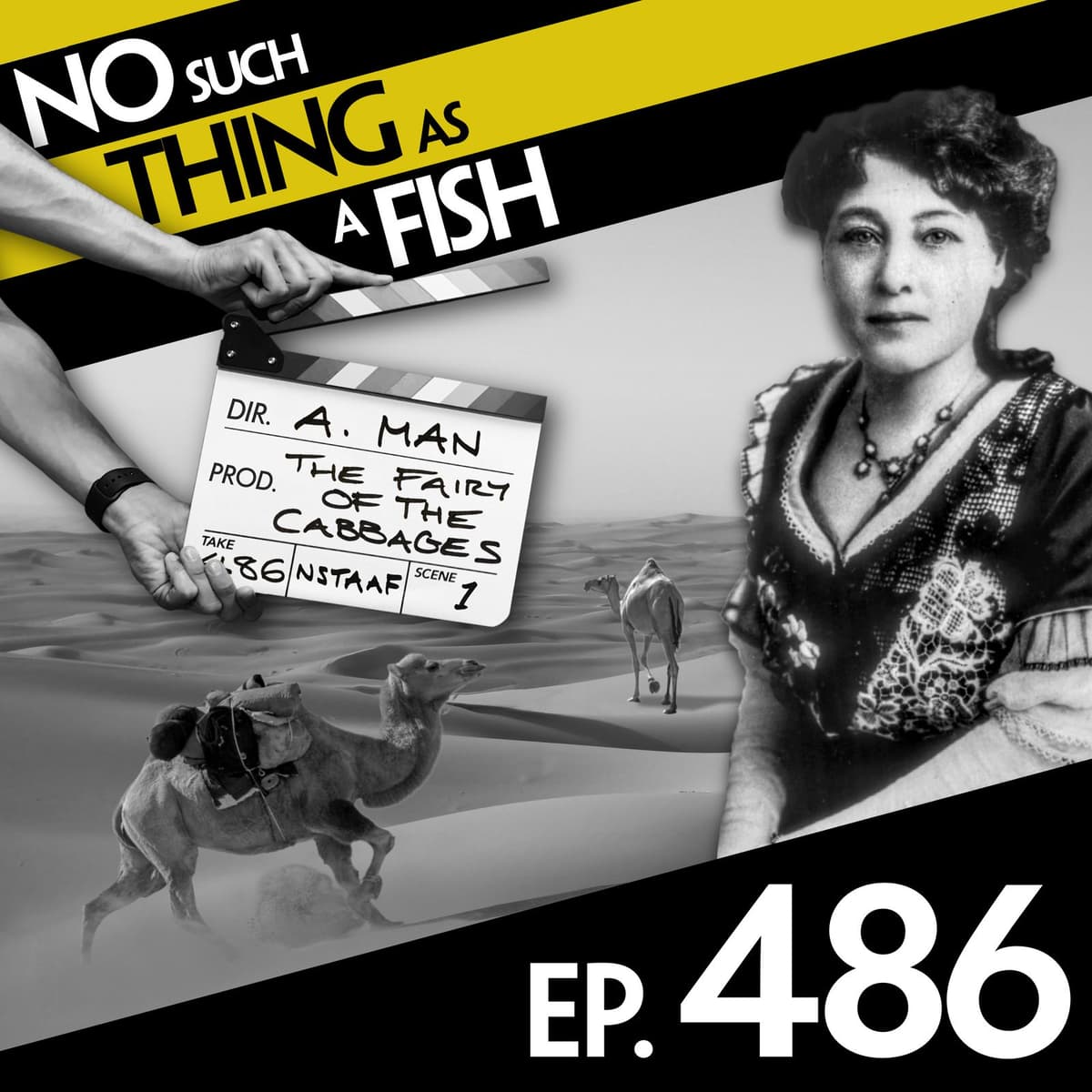 No Such Thing As Purplue - No Such Thing As A Fish cover