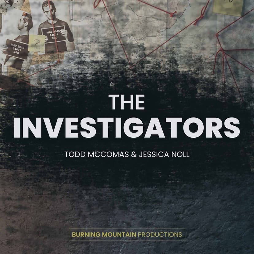 The Investigators cover