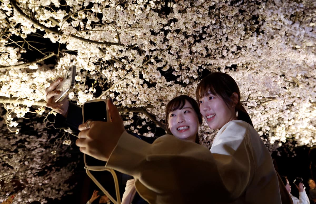 190: Sakura stories revisited: Getting in the mood for hanami - Deep Dive from The Japan Times cover