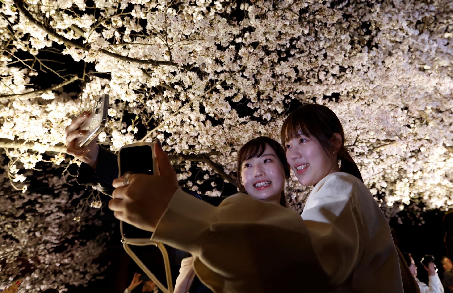 190: Sakura stories revisited: Getting in the mood for hanami - Deep Dive from The Japan Times cover