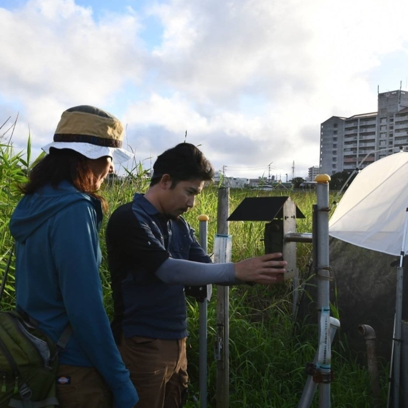 191: What does climate change sound like? - Deep Dive from The Japan Times cover