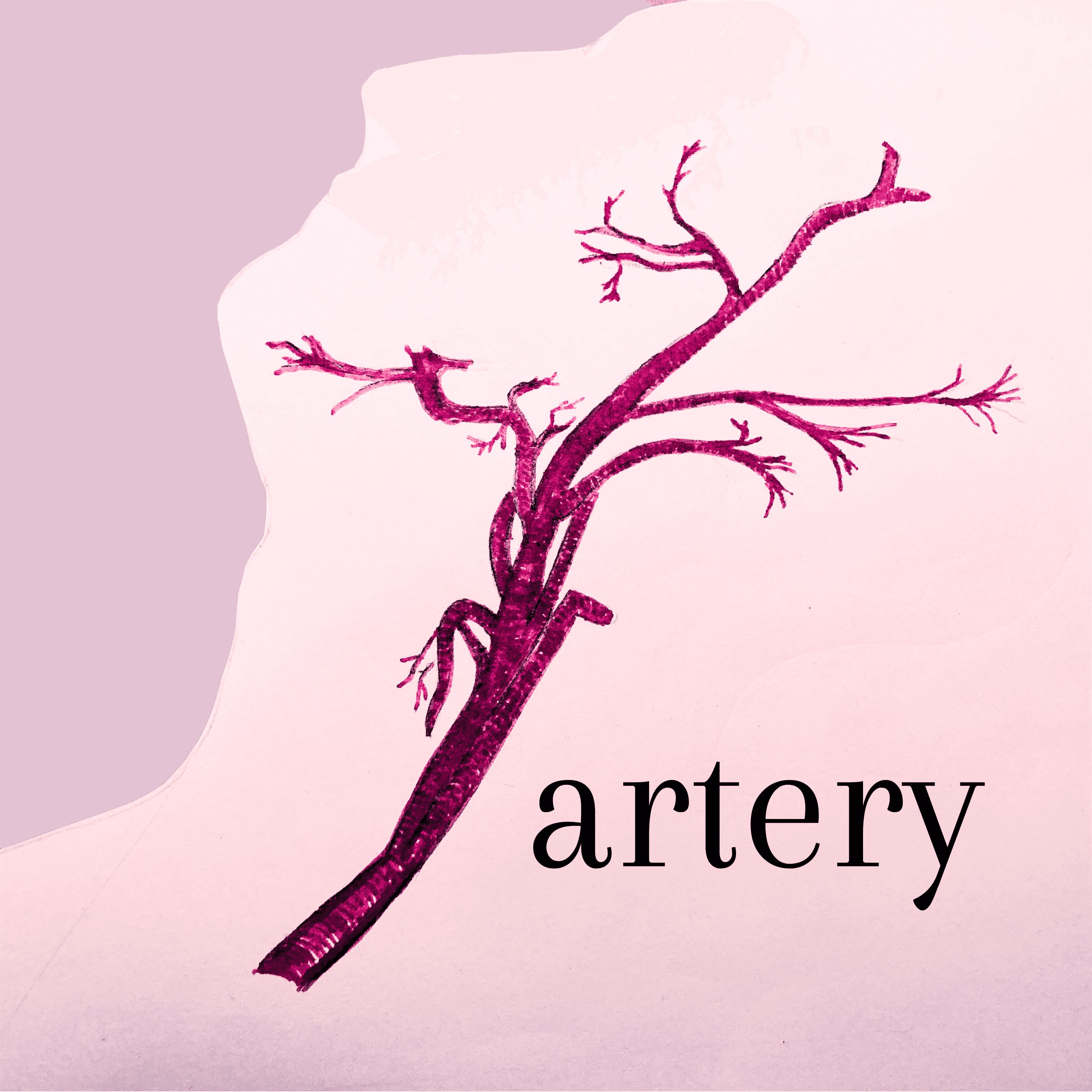 Artery. A podcast on art, authorship and anthropology cover