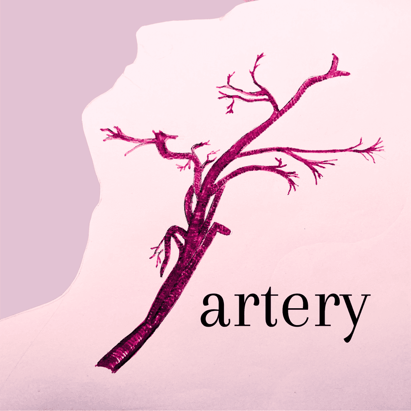 Artery. A podcast on art, authorship and anthropology cover