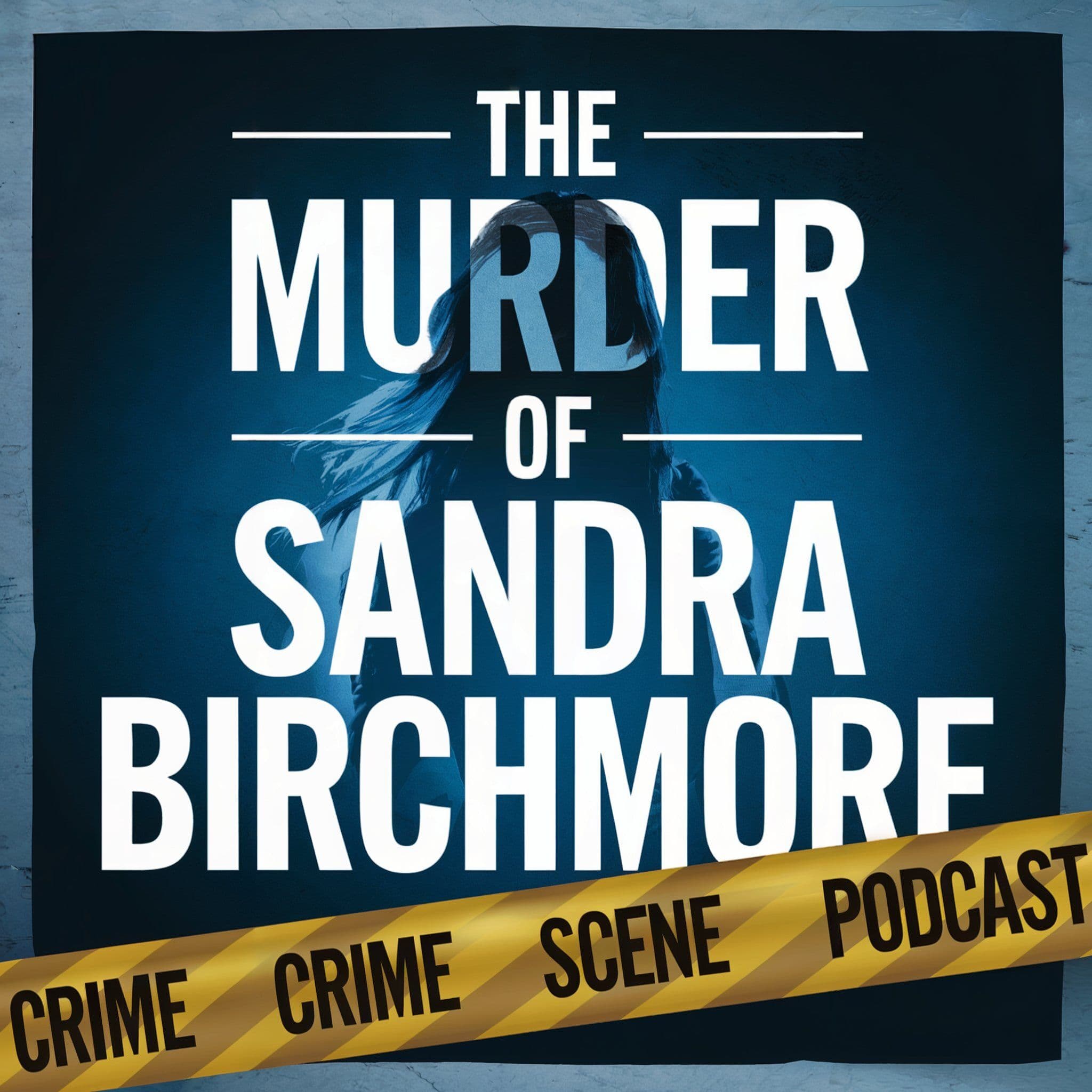 The Murder Of Sandra Birchmore cover