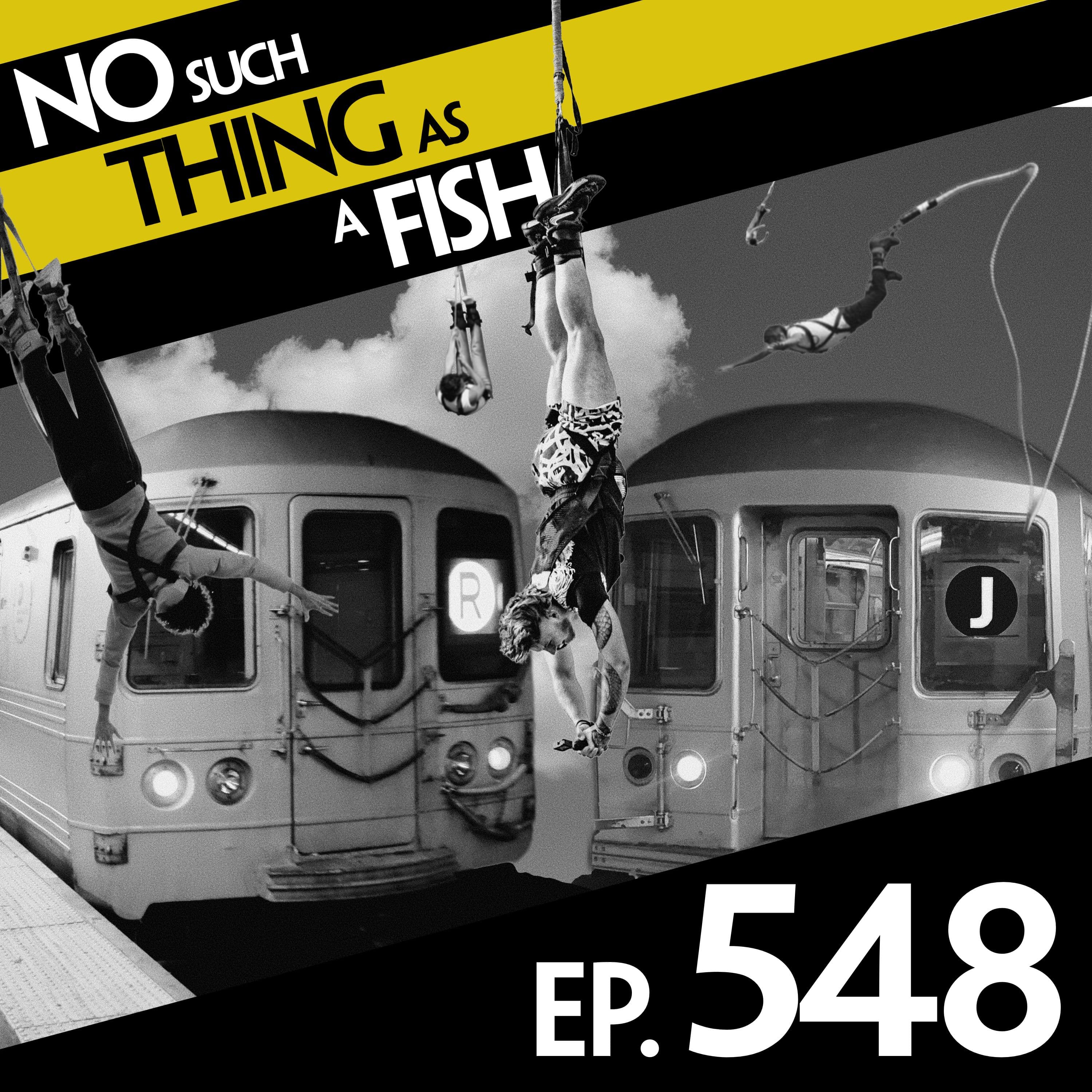 548: No Such Thing As Radioactive Jenga - No Such Thing As A Fish cover