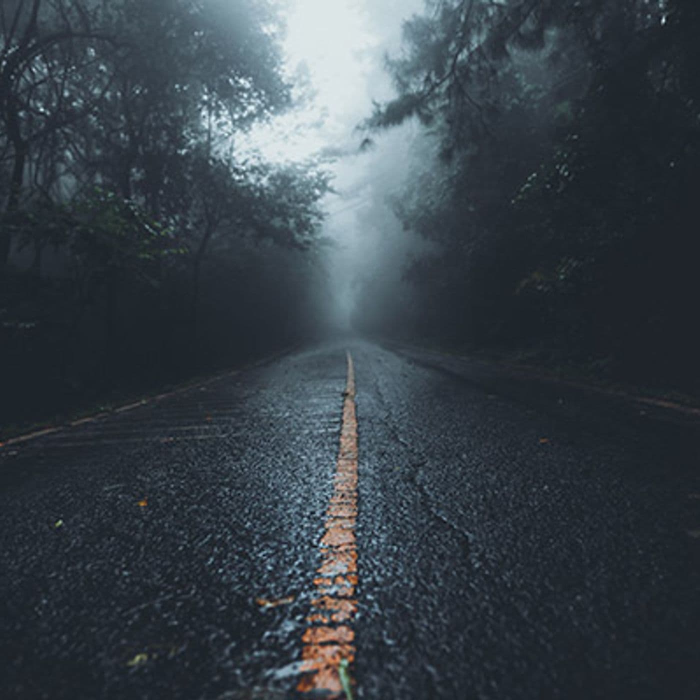 Roadway Trolls - Expanded Perspectives cover