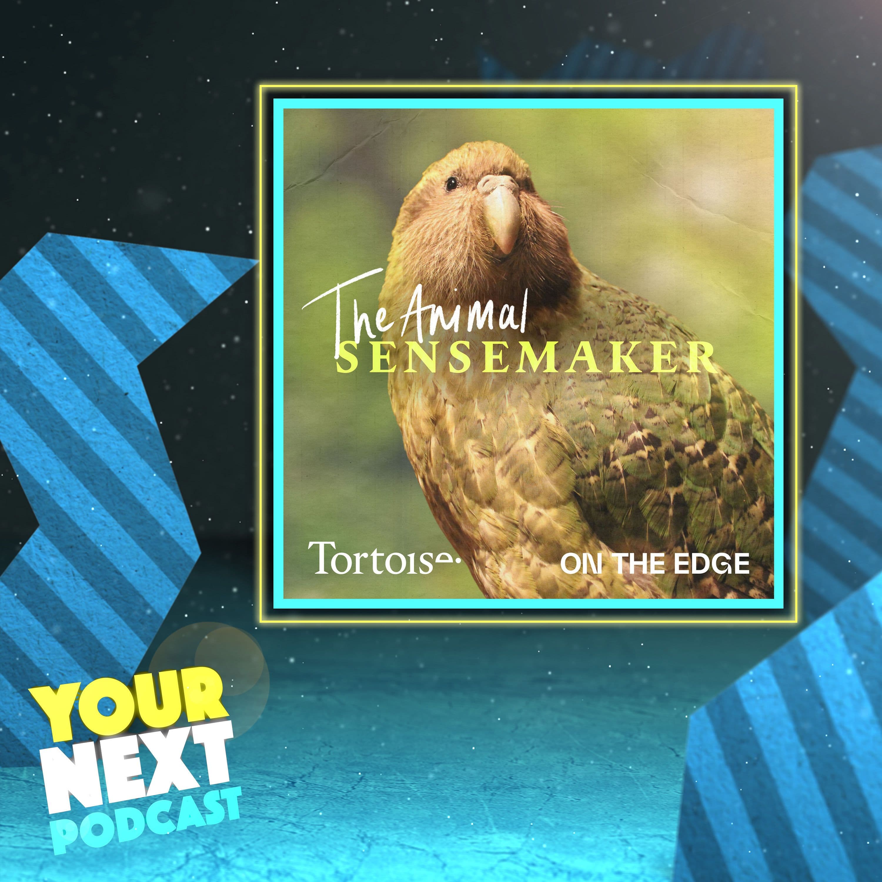 71: The Animal Sensemaker - Your Next Podcast cover