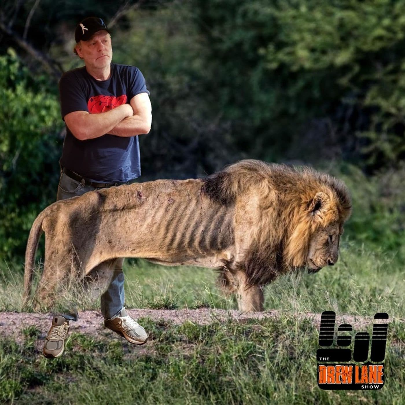 Lions Emaciated – December 16, 2024 - The Drew Lane Show cover