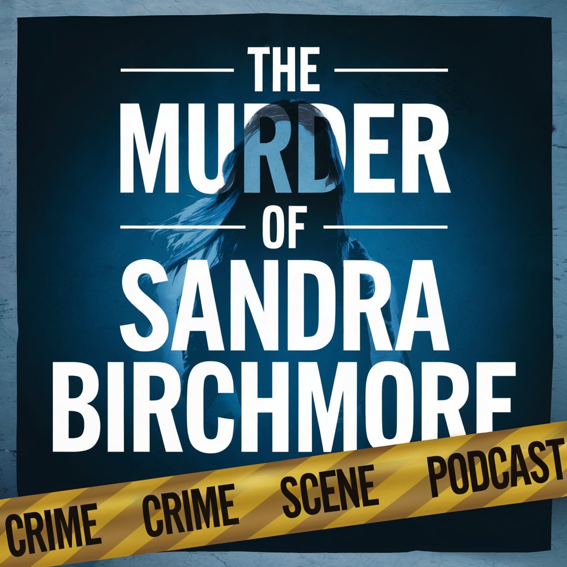 Inside the Explorer Program: How Cops Used Mentorship to Exploit Sandra Birchmore - The Murder Of Sandra Birchmore cover