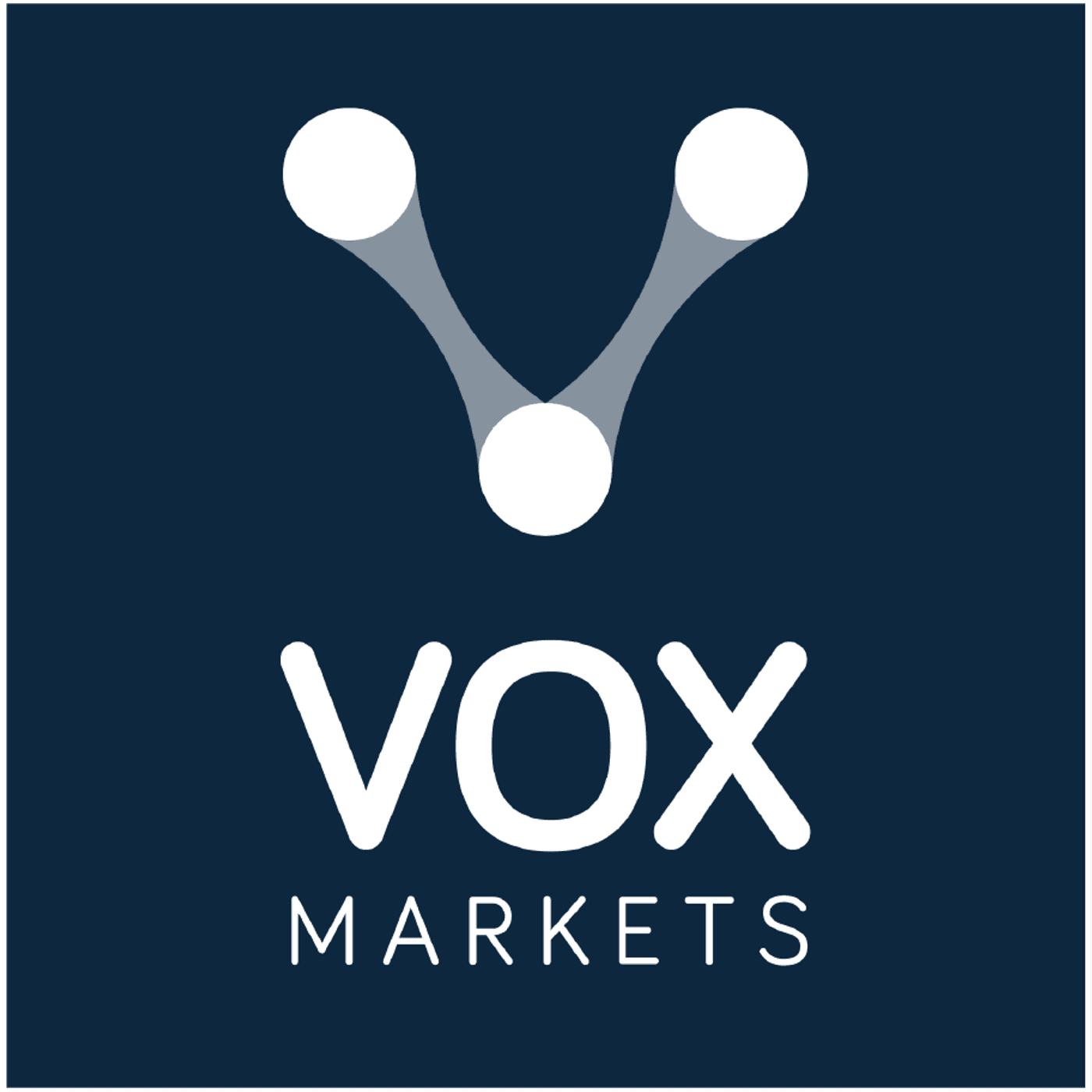 2044: CleanTech Lithium Interview with Steve Kesler - The Vox Markets Podcast cover