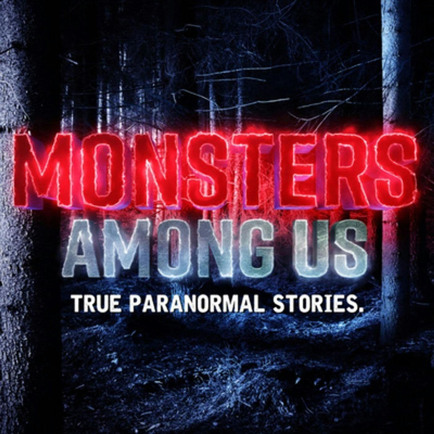 S13: Sn. 13 Ep. 8.5 - MAUB 48 - Friday the 13th, 9/11 and Pa Hank. - Monsters Among Us cover