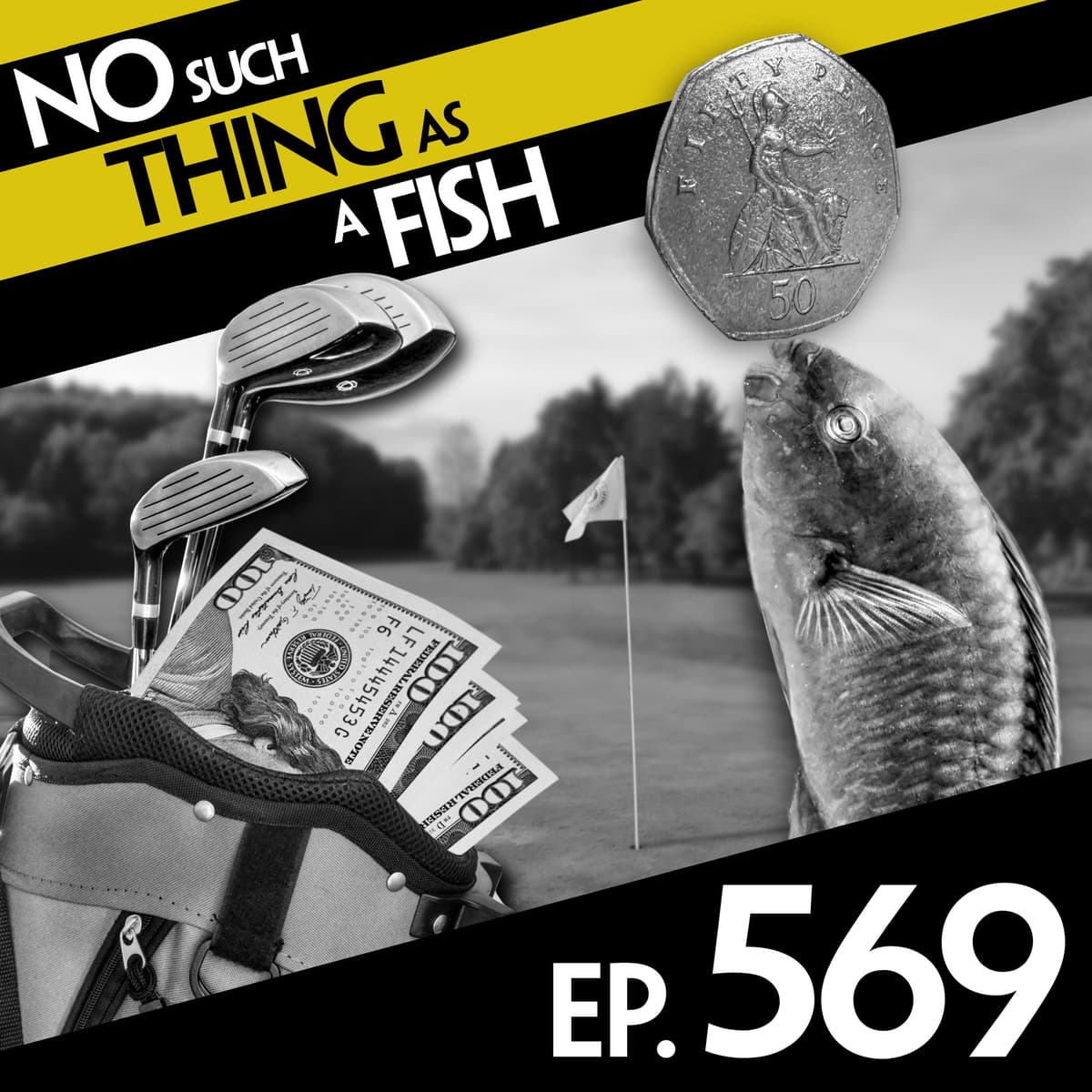 569: No Such Thing As Jousting Parrotfish - No Such Thing As A Fish cover