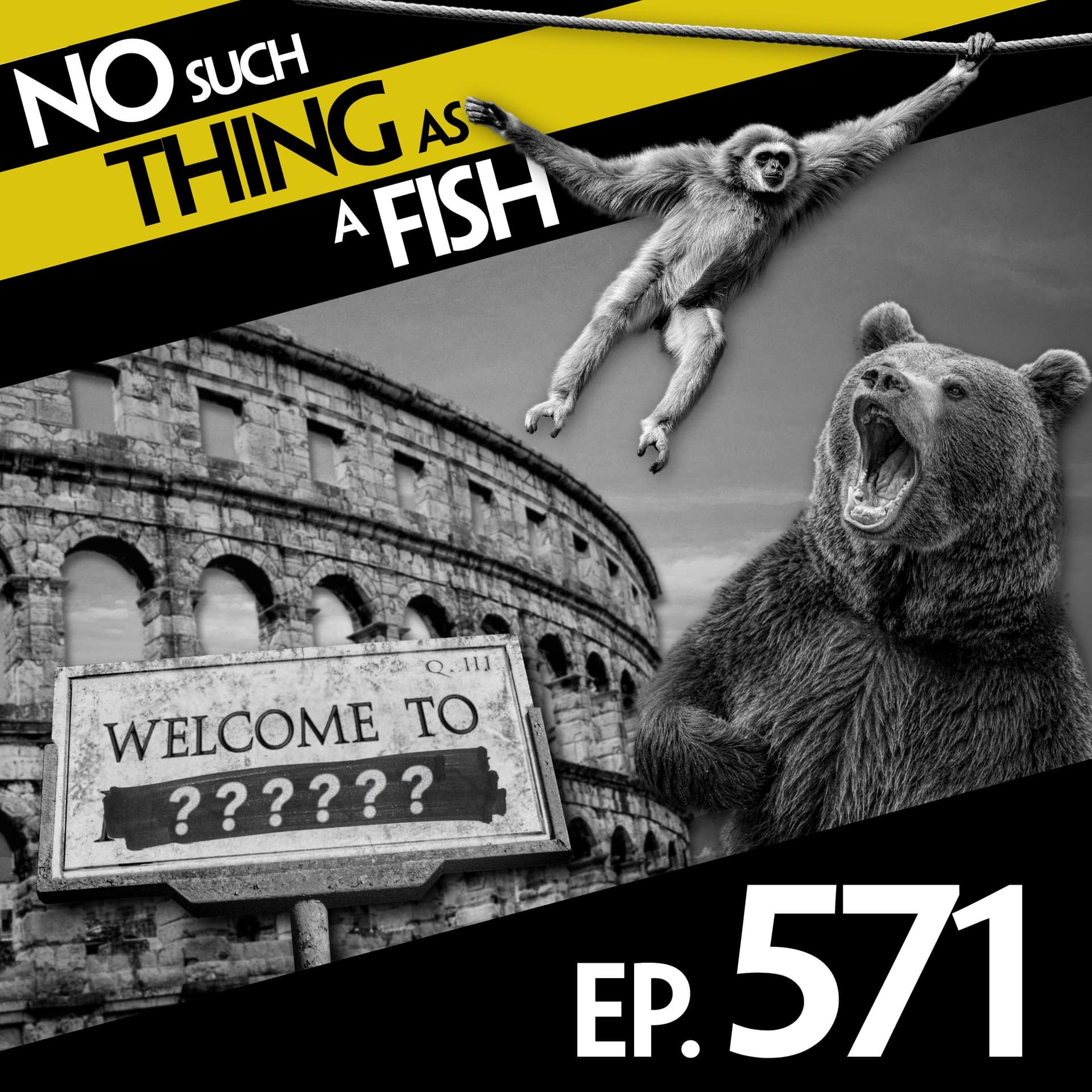 571: No Such Thing As Dudley And The Dippers - No Such Thing As A Fish cover