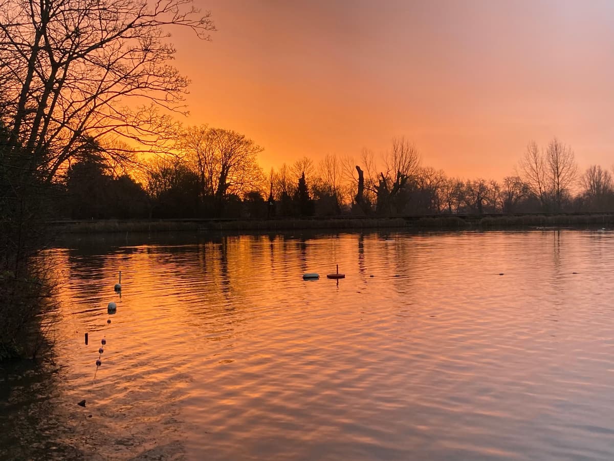 385: All the True Vows - Turning Towards Life - a Thirdspace podcast cover