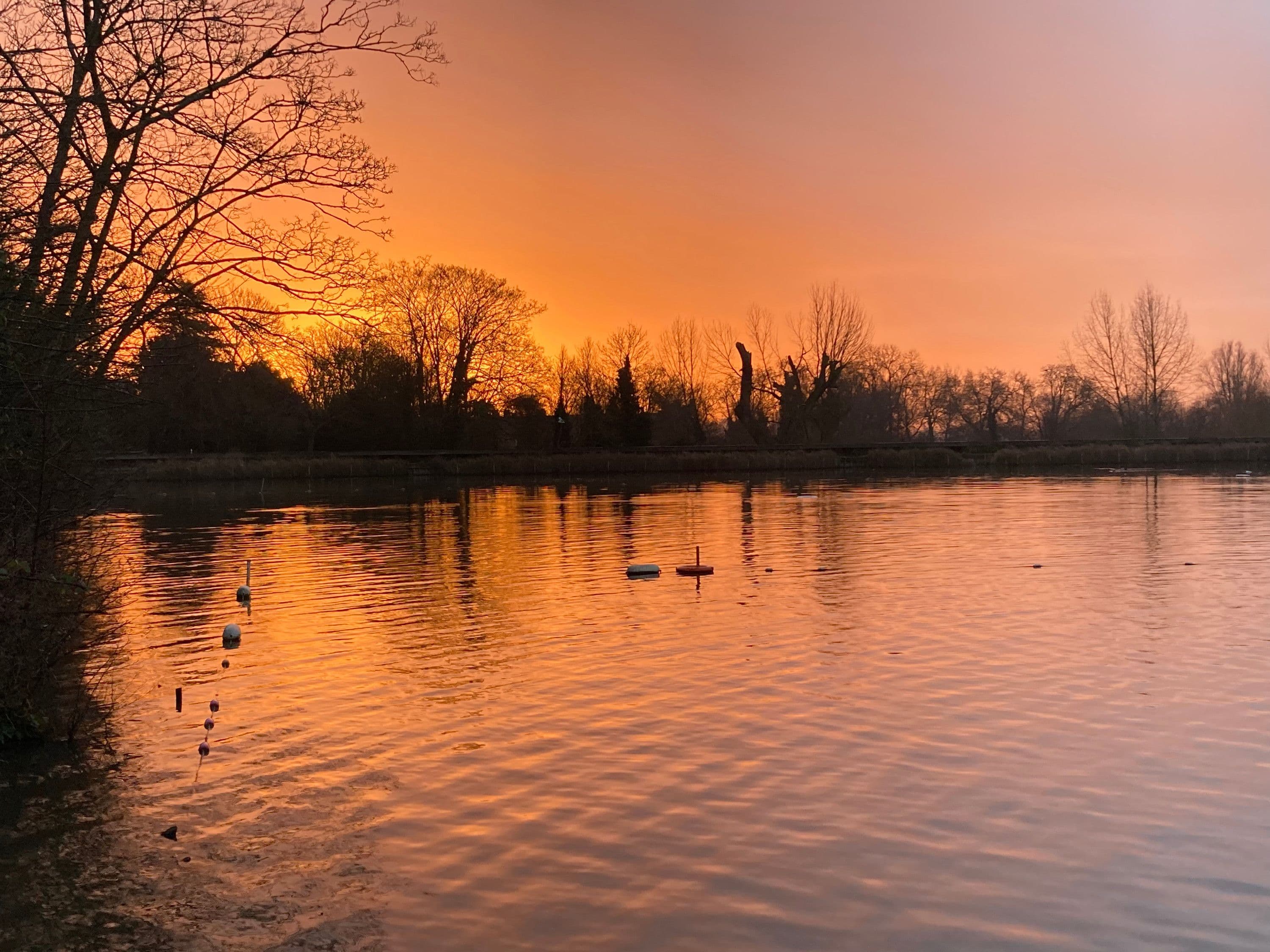 385: All the True Vows - Turning Towards Life - a Thirdspace podcast cover