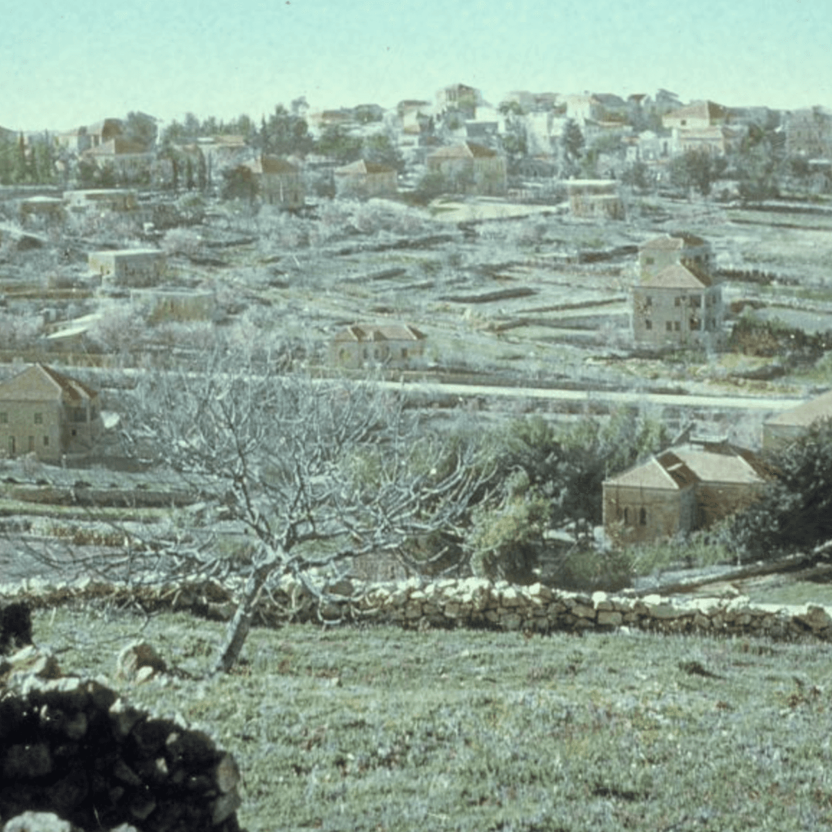 #GAZA: CEASEFIRE ENDING. GREGORY COPLEY, DEFENSE & FOREIGN AFFAIRS - The John Batchelor Show cover