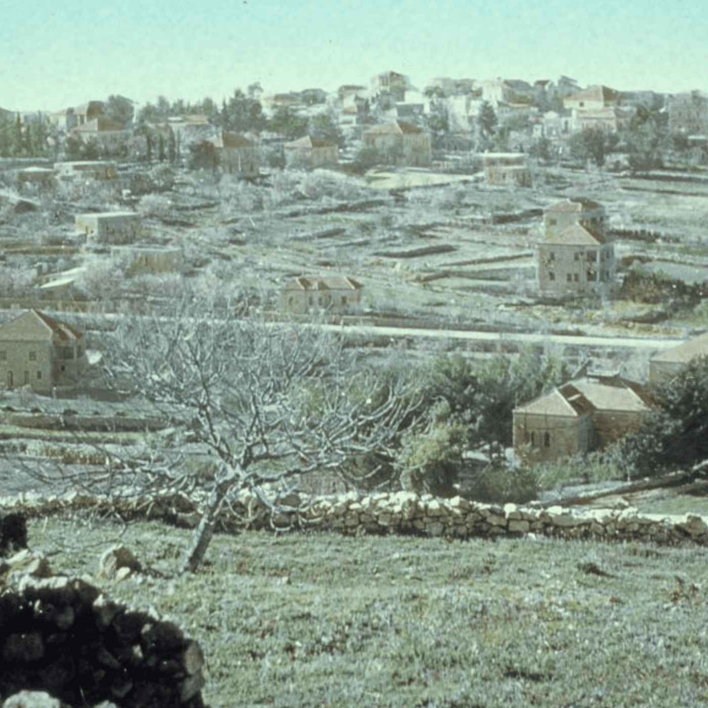 #GAZA: CEASEFIRE ENDING. GREGORY COPLEY, DEFENSE & FOREIGN AFFAIRS - The John Batchelor Show cover