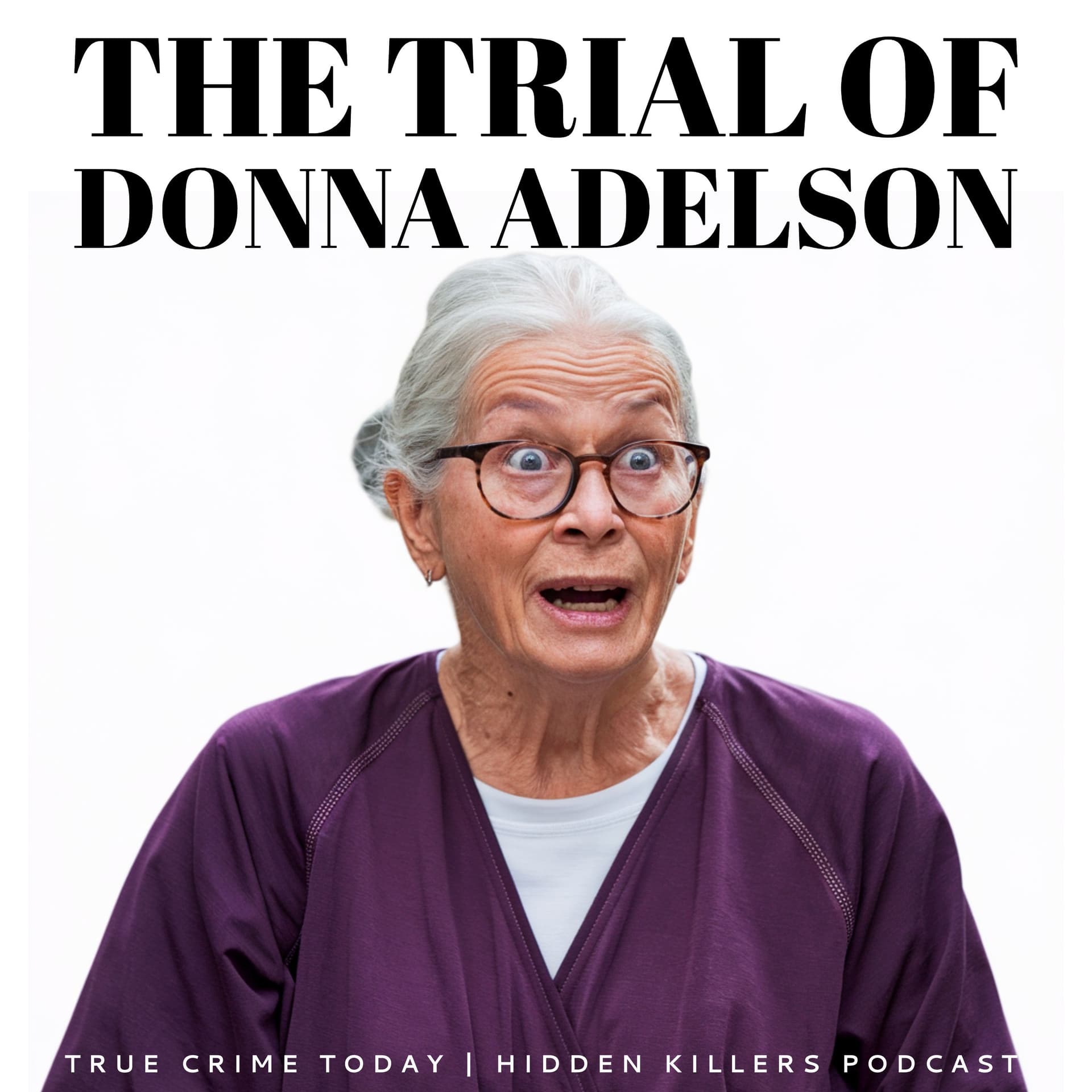 The Trial Of Donna Adelson | The Murder Of Dan Markel cover