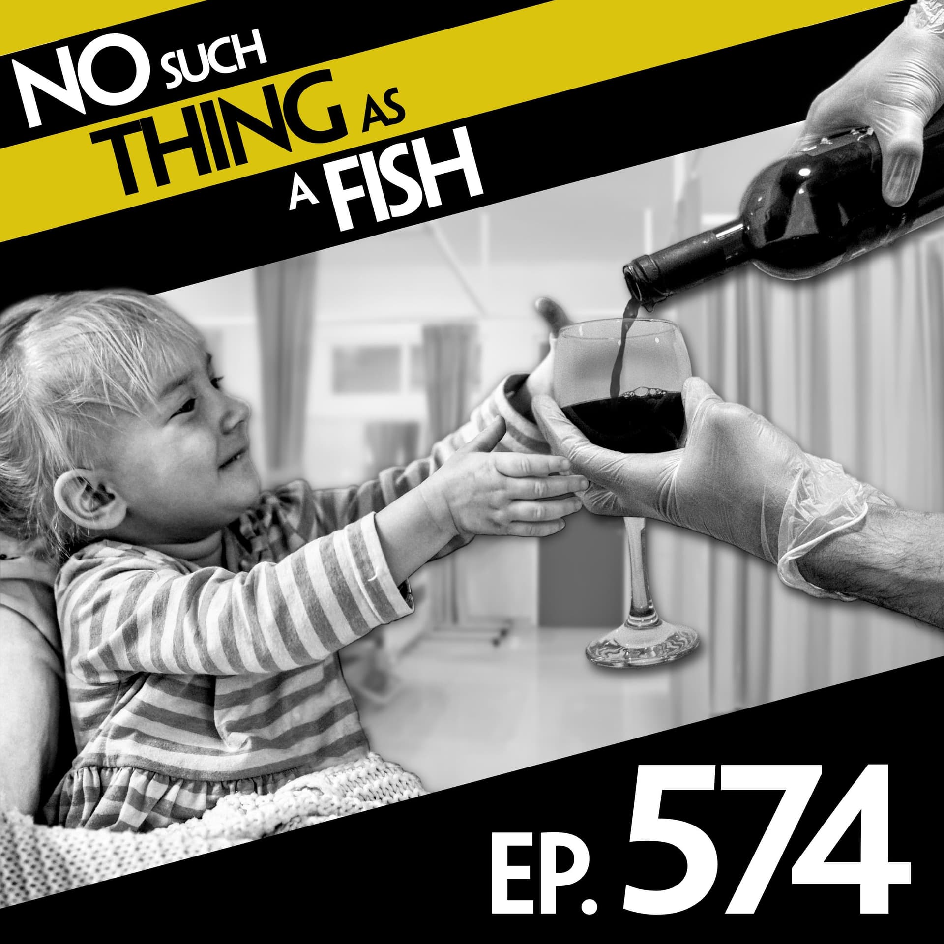 574: No Such Thing as Pyramids in Johannesburg — No Such Thing As A Fish cover