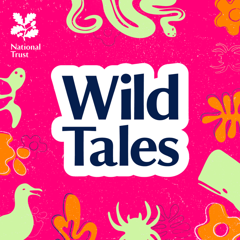 Wild Tales | Nature Podcast cover