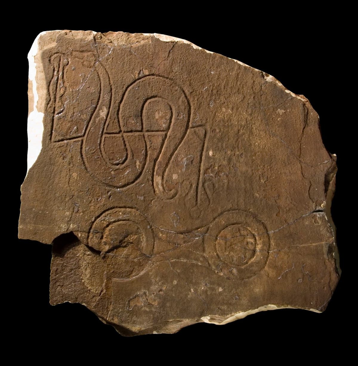 6: The Loch Ness Monster - Odd Anthropology cover