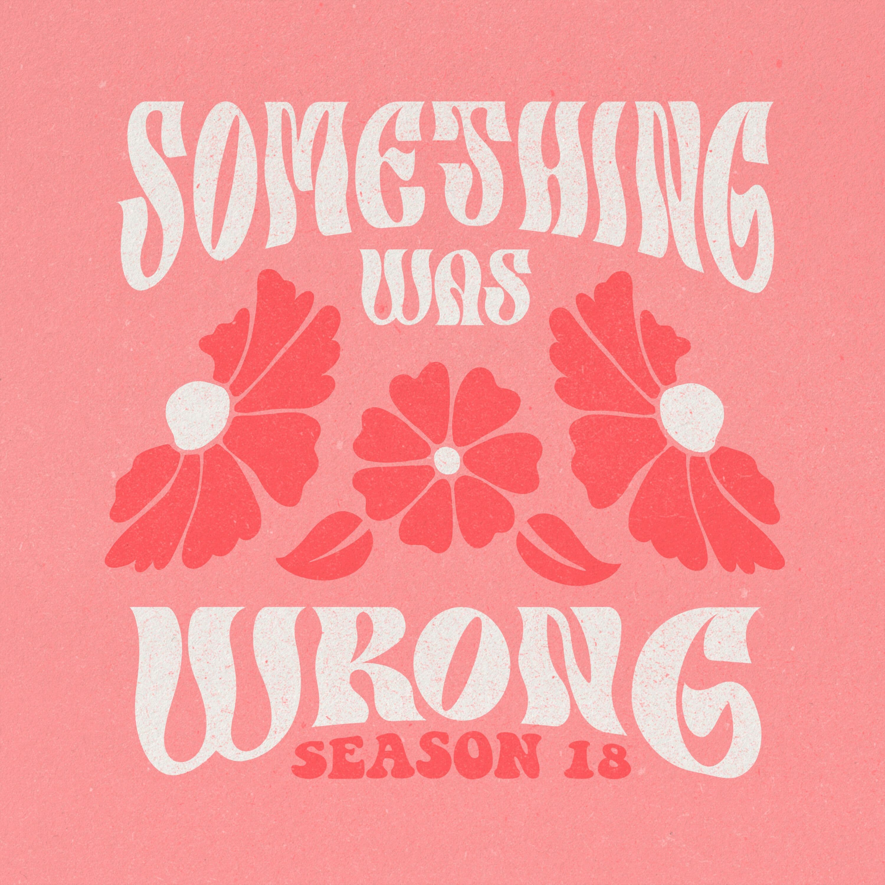 S18 Ep4: (3/7) [Karissa + Seanna] My Jaw Was on the Floor - Something Was Wrong cover