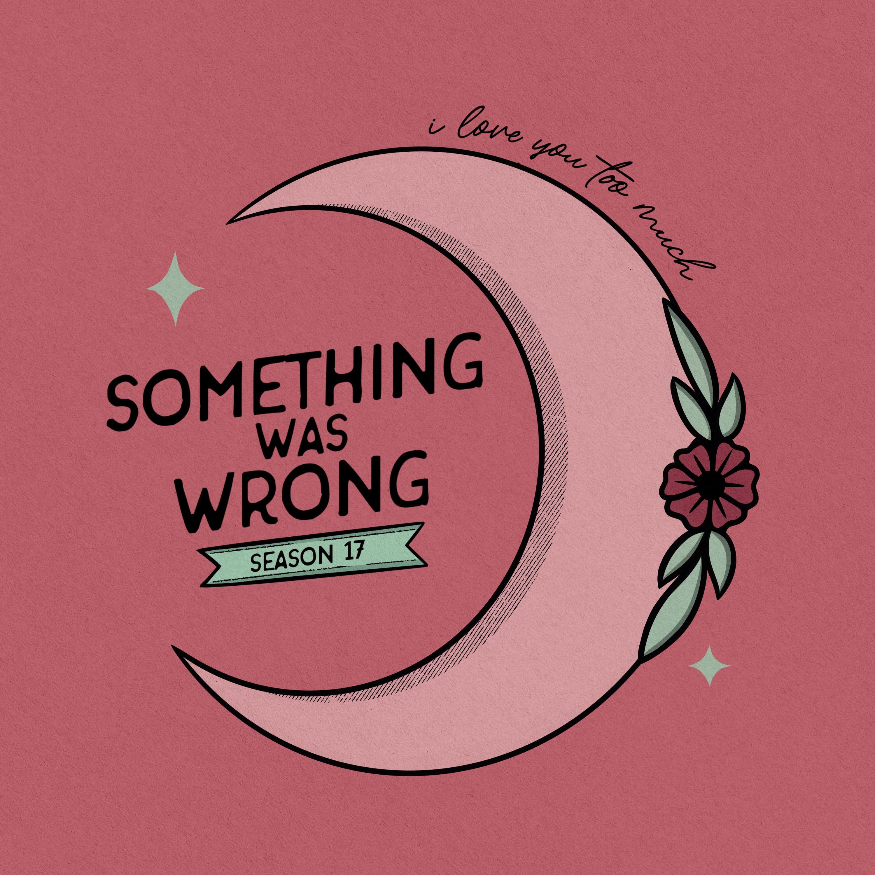 S17 Ep1: Something Magical About Him - Something Was Wrong cover