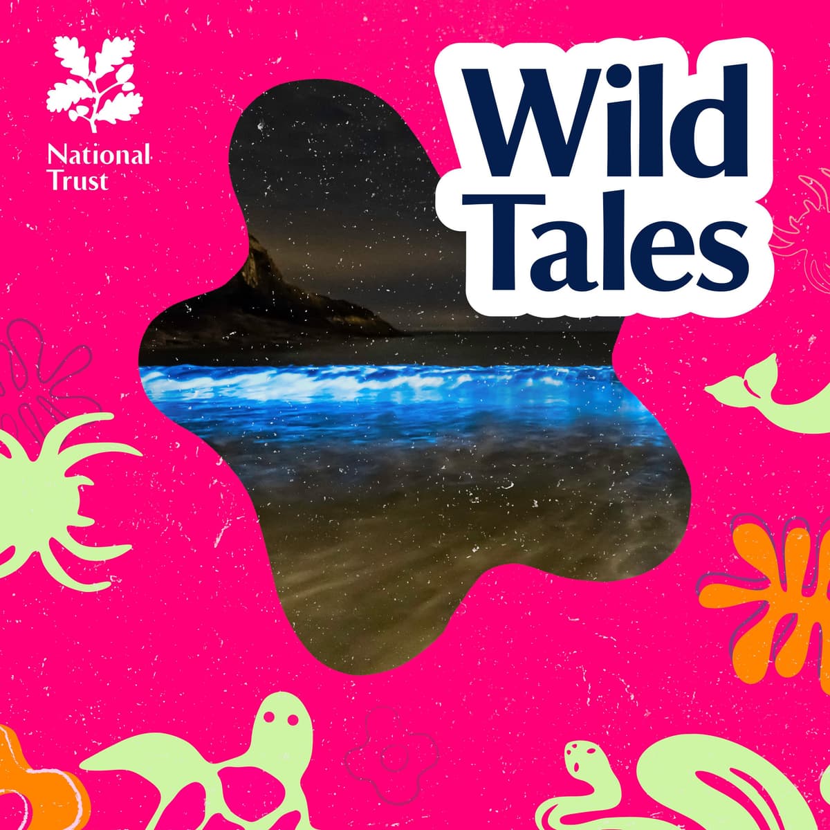Bioluminescent Bay Watch | Strange Things Light Up the Ocean - Wild Tales | Nature Podcast cover