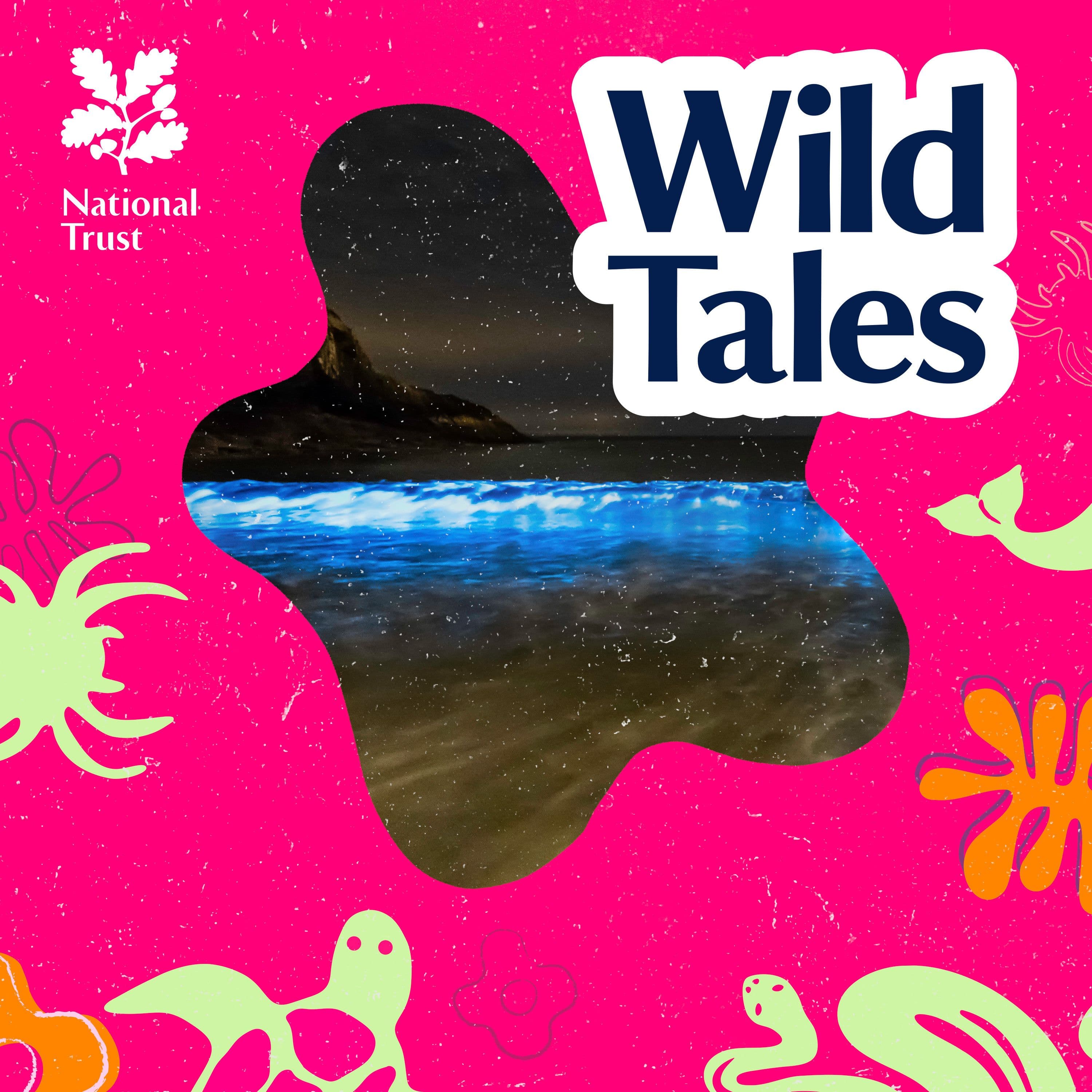 Bioluminescent Bay Watch | Strange Things Light Up the Ocean - Wild Tales | Nature Podcast cover