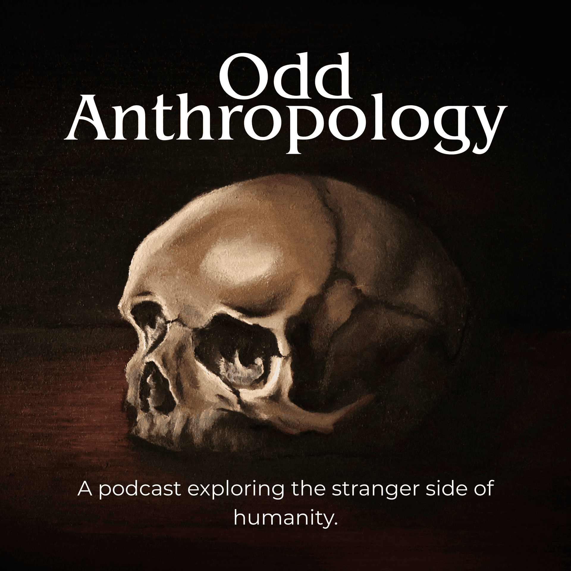Odd Anthropology cover