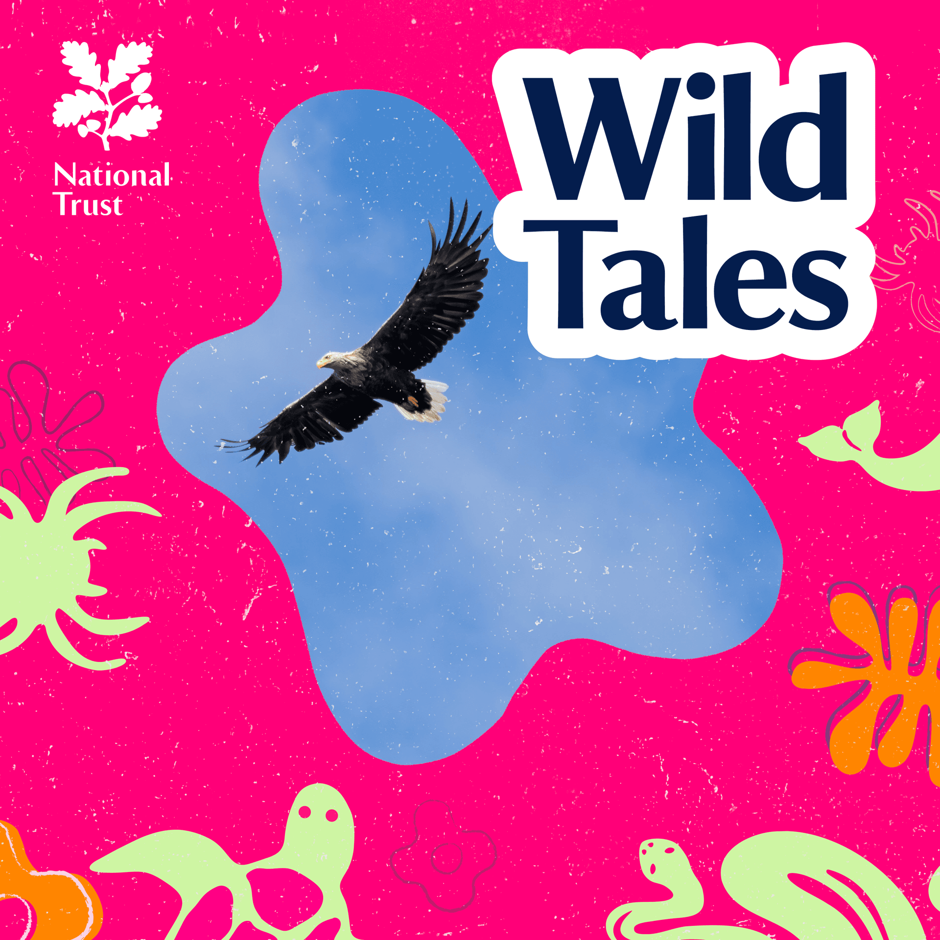 The Return of the Eagle - Wild Tales | Nature Podcast cover