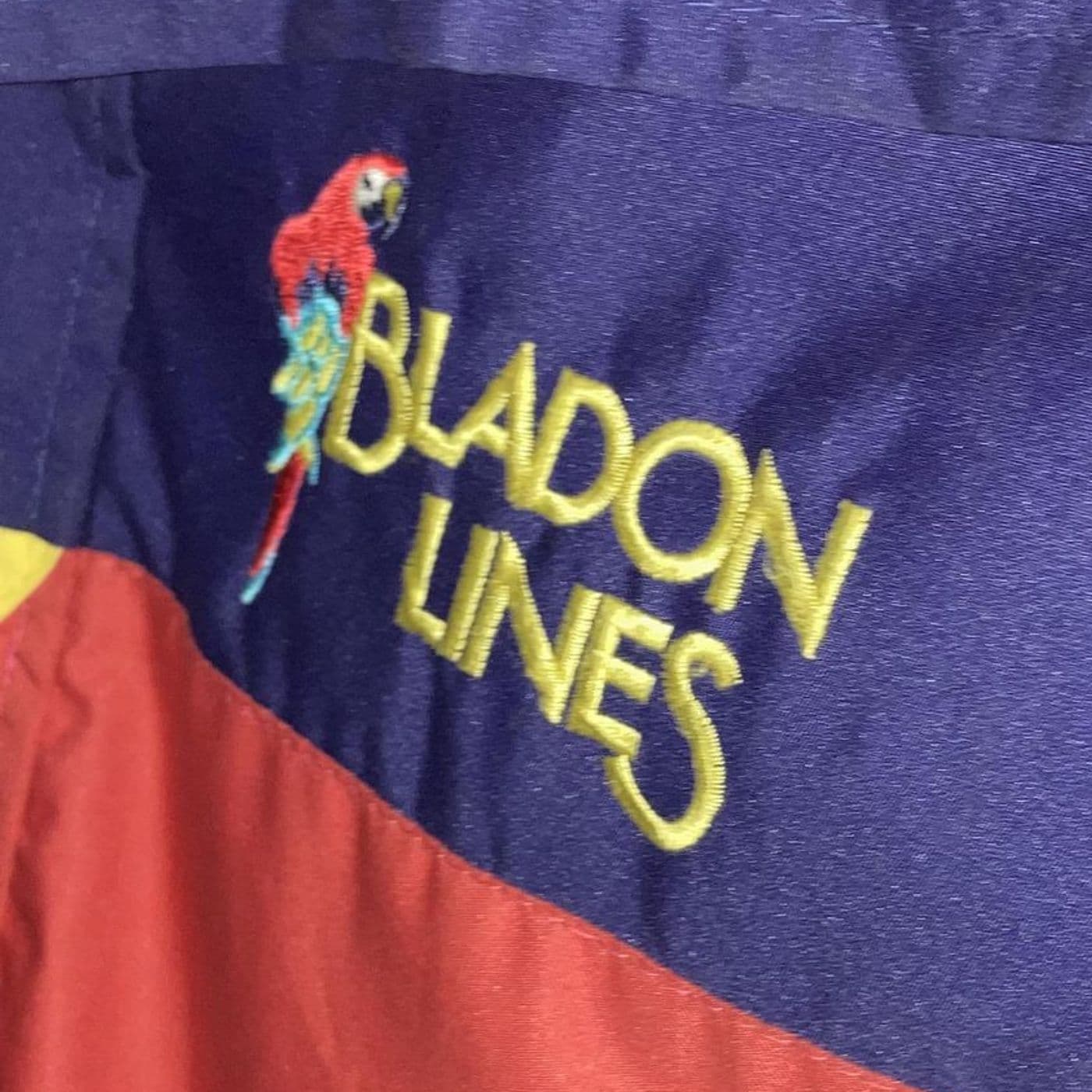 252: The Rise and Fall of Bladon Lines | ‘Parrots in the Snow’ — The Ski Podcast cover