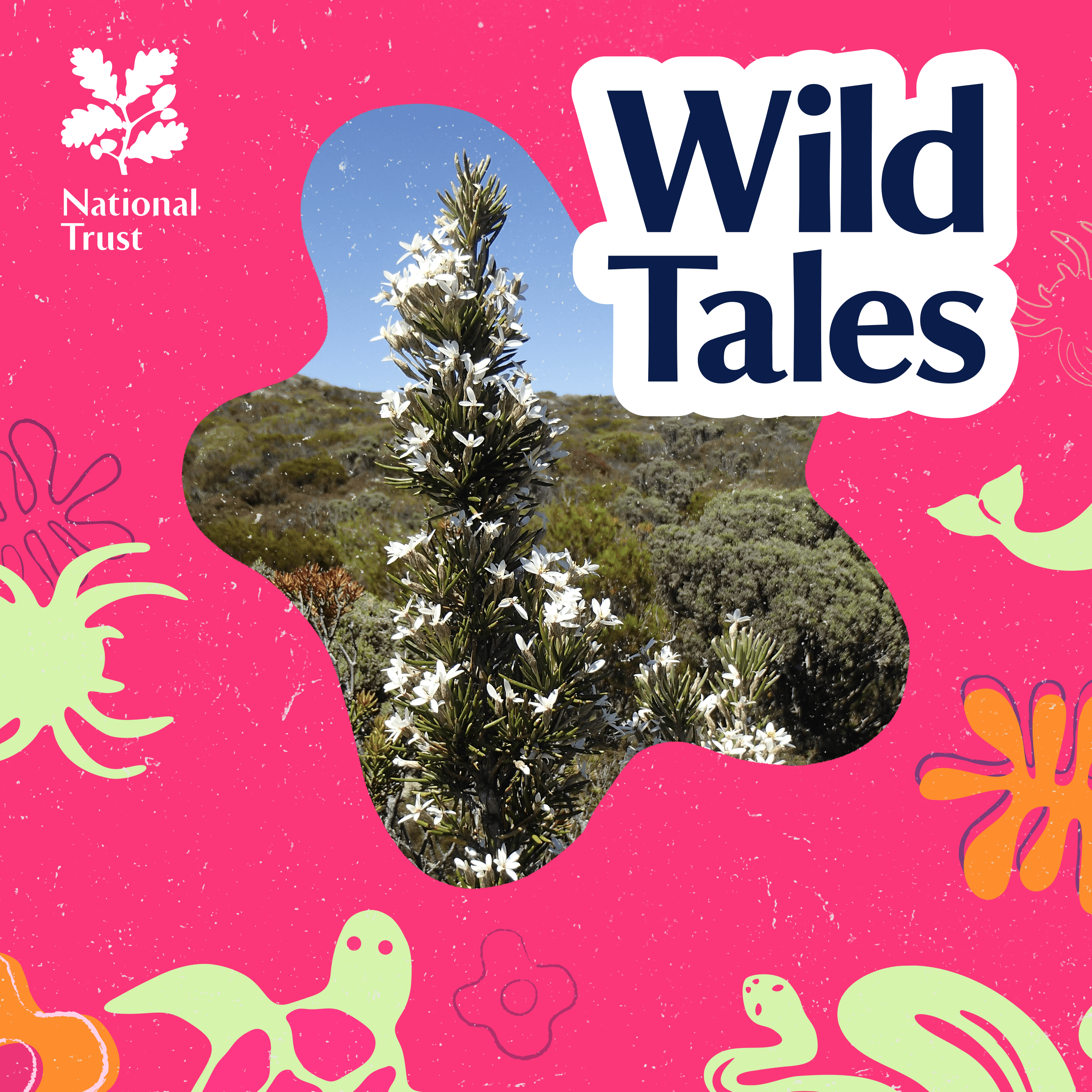 Plant Hunters | A Botanical Quest Down Under - Wild Tales | Nature Podcast cover