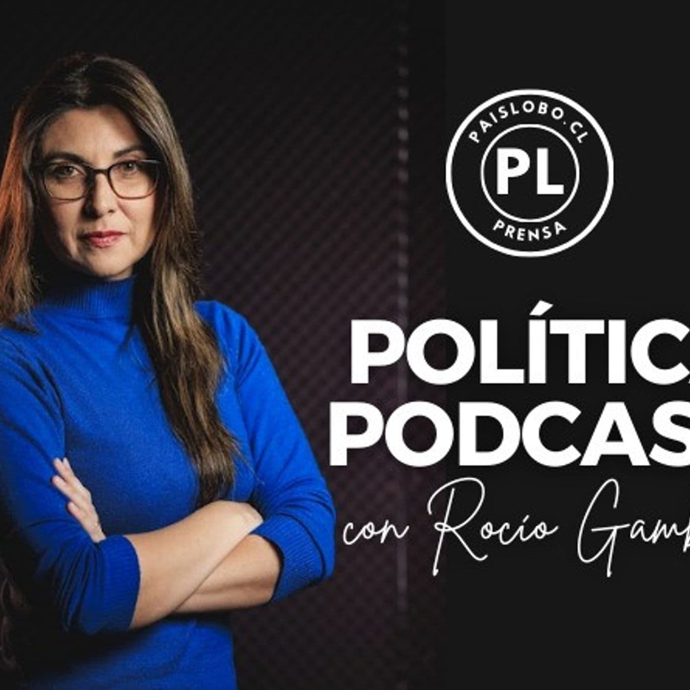 Ley de Reactivación: El debate de los diputados Barría y Muñoz - PL Podcast cover