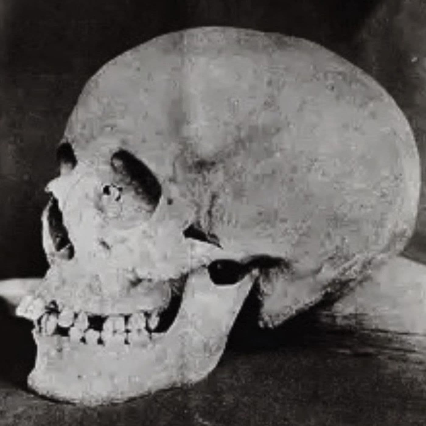 10: Lilias Adie - Odd Anthropology cover