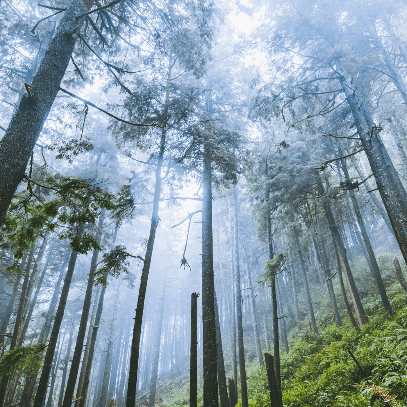 There Are Monsters - Small Town Dicks cover