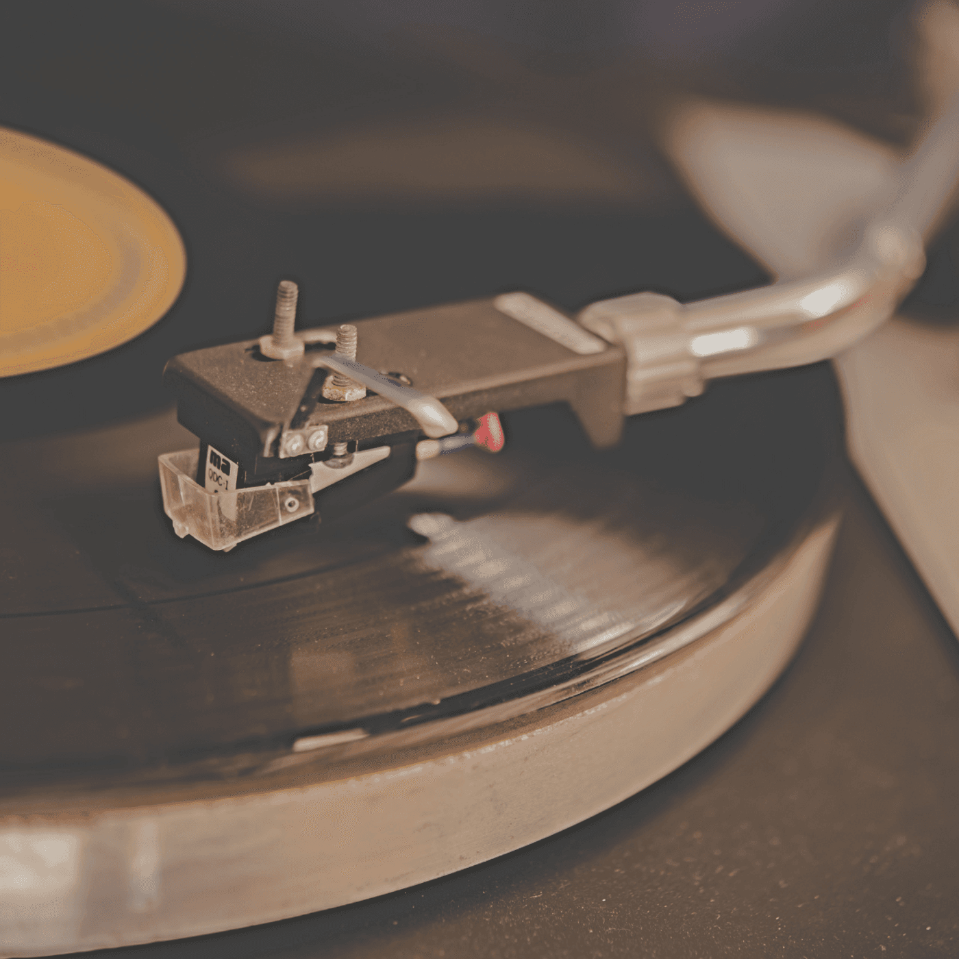 Sorry, Not Sorry - Small Town Dicks cover