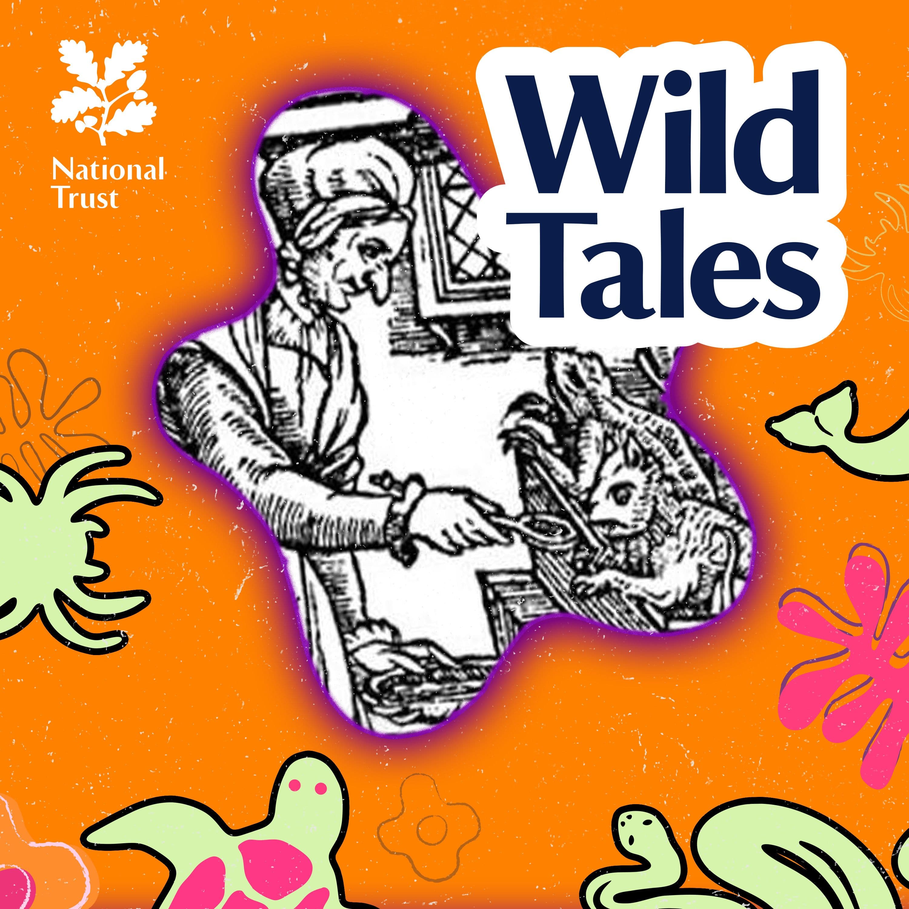 Halloween Special | Witches' Familiars - Wild Tales | Nature Podcast cover