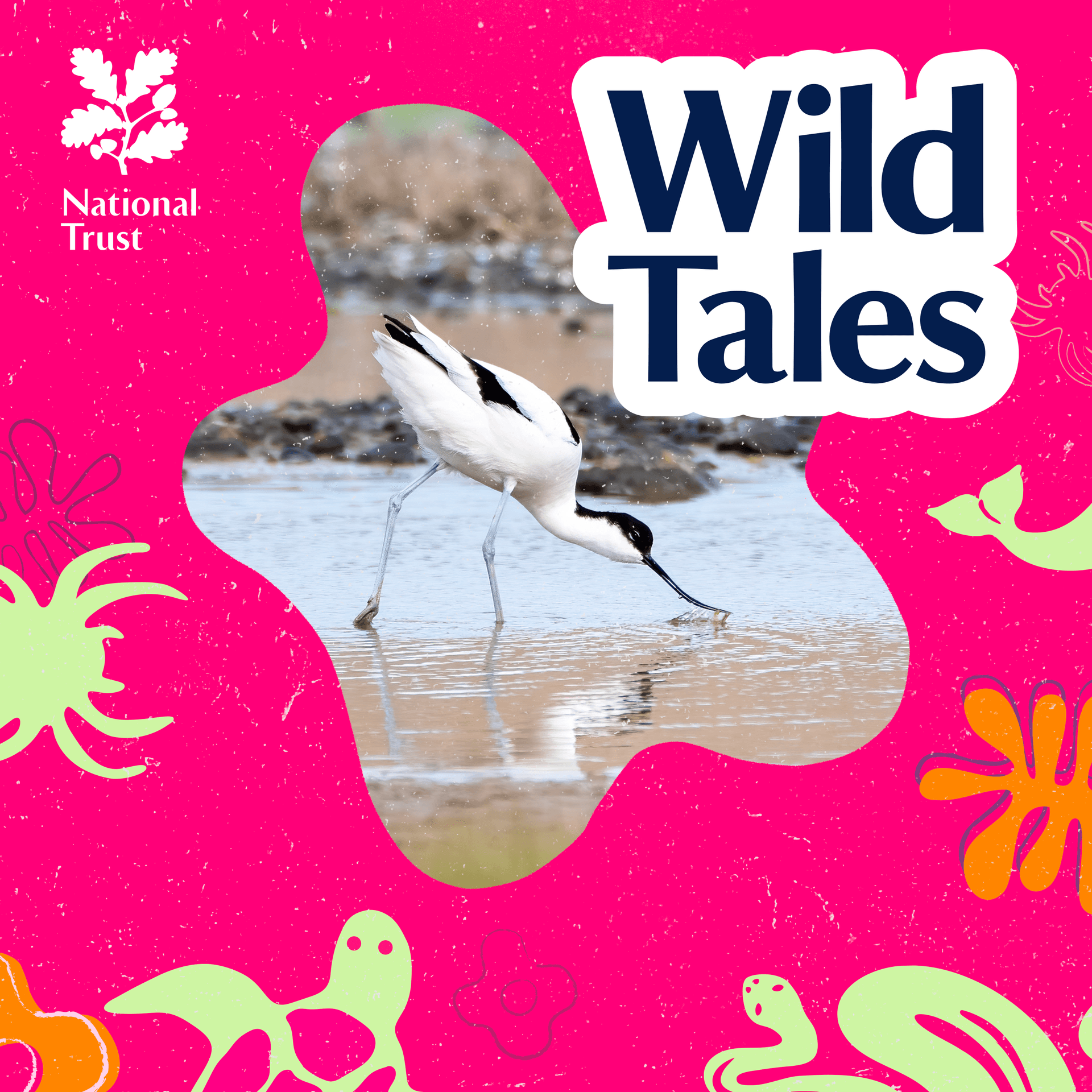 Golf Course to Nature Reserve | Just Add Water? - Wild Tales | Nature Podcast cover